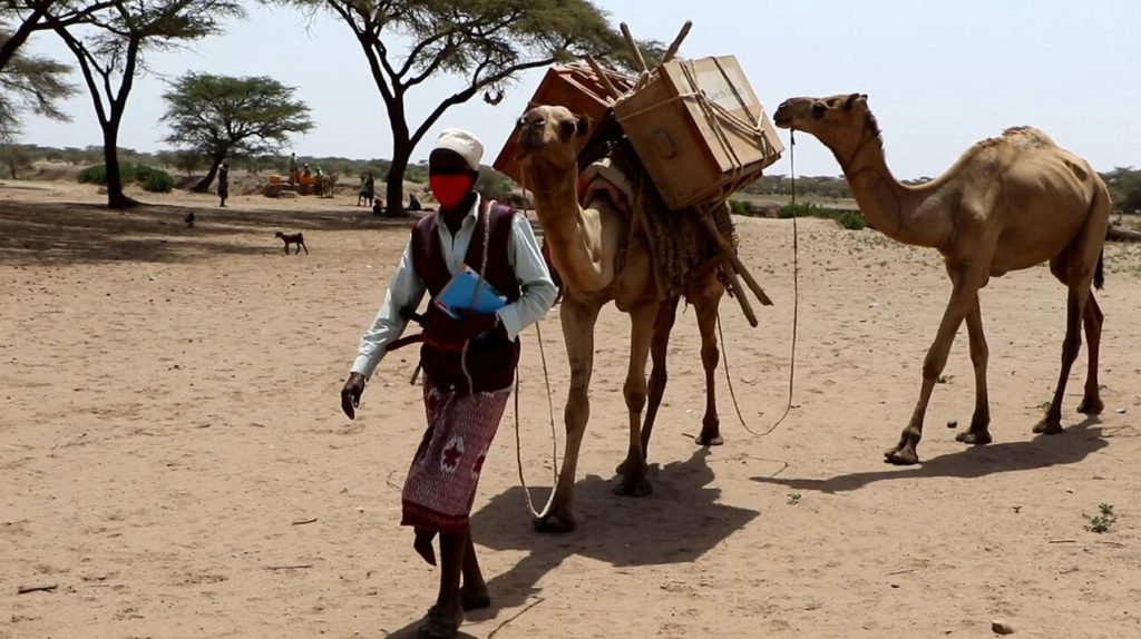 aithiopia camel l