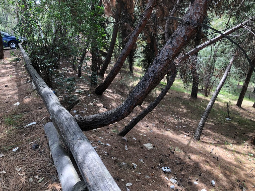 1ο θέμα Δασύλλιο 3