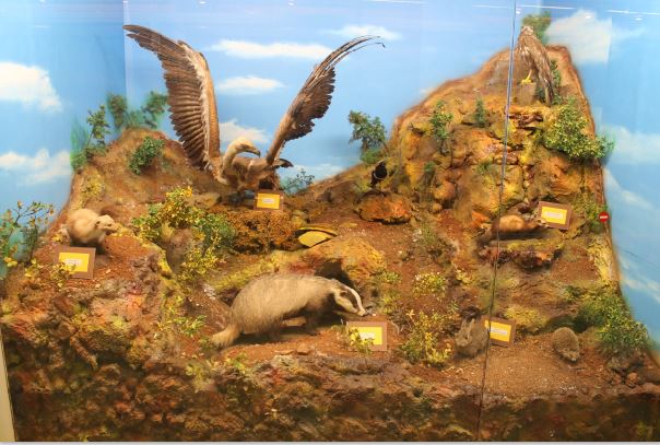 Υπάλληλοι του Δήμου πέταξαν στα… σκουπίδια τον Μυοκάστορα - Χάθηκε η επιστημονική «ευκαιρία»! Καταγραφή 2