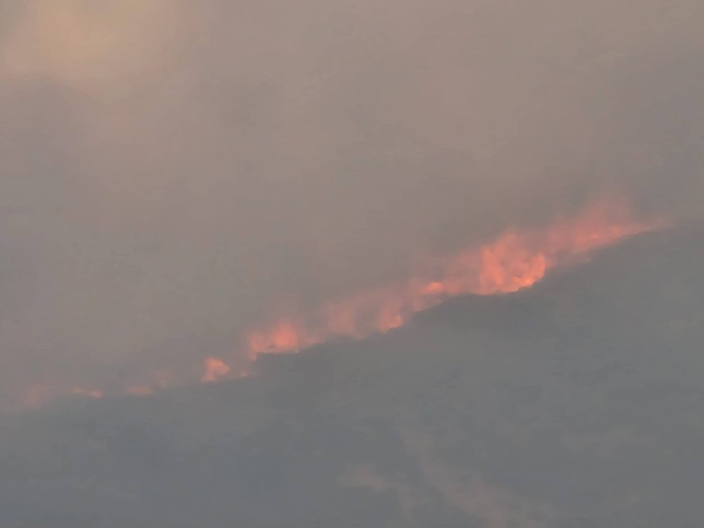 Αχαΐα: Δυο πύρινα μέτωπα - Ένα στο βουνό και ένα στην Καλλιθέα - Δύσκολη η νύχτα 293267453 1440248846476413 7434833614362522041 n