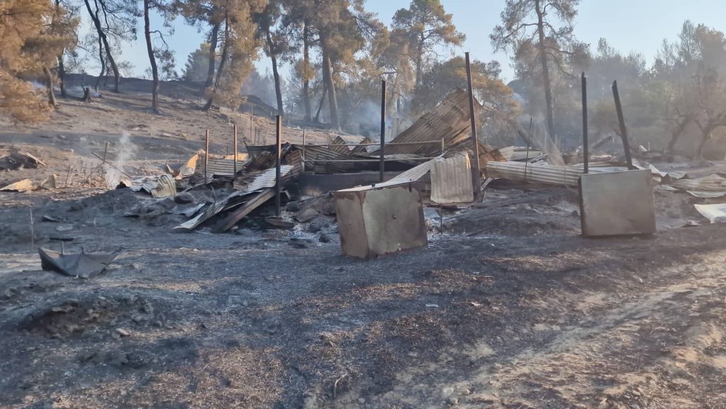 295285441 5297617833609516 8761652678858141321 n