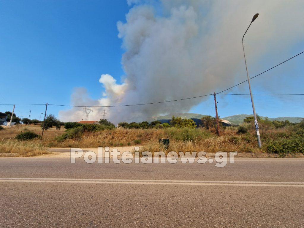 Πάτρα: "Γιγαντώνεται" η φωτιά στην Καλλιθέα – Μήνυμα από το 112 για εκκένωση της Πλατανόβρυσης και της Αγίας Παρασκευής (νέες φωτό) IMG 2bafeeb603048b59ca2d5c29e4e9395b V