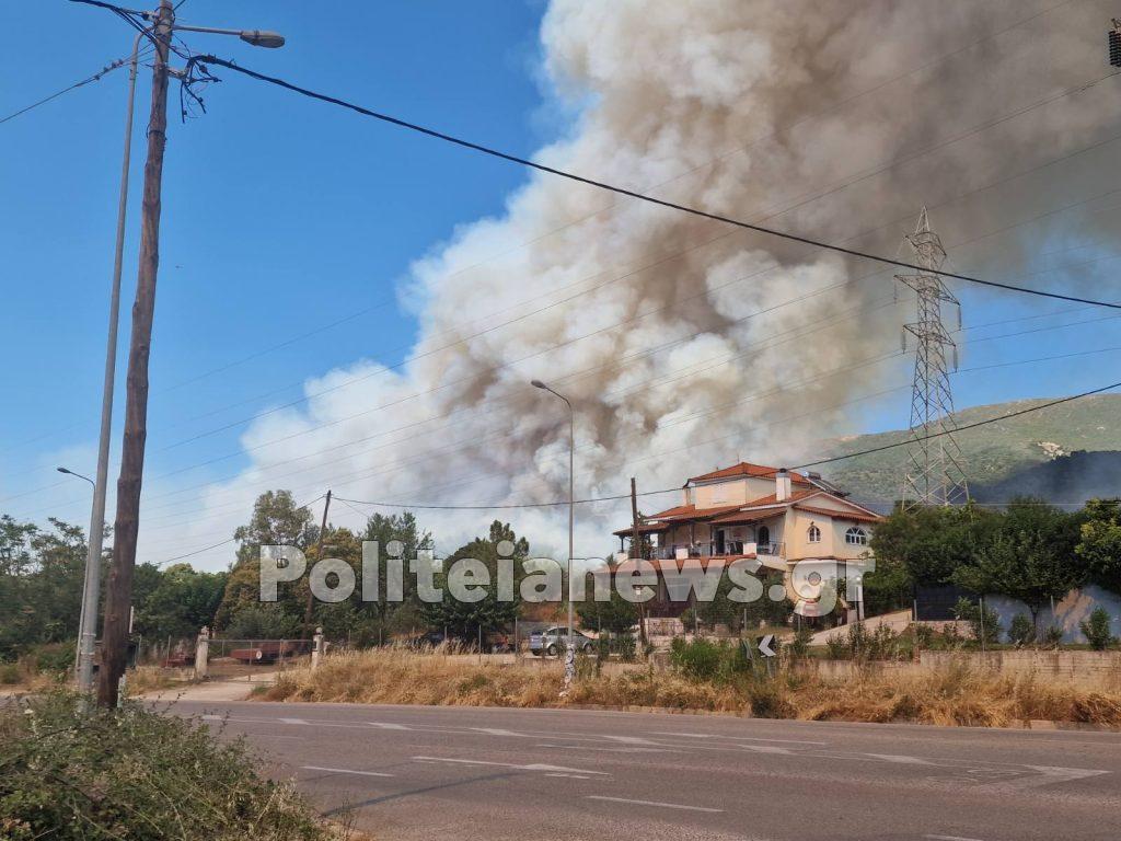 Πάτρα: "Γιγαντώνεται" η φωτιά στην Καλλιθέα – Μήνυμα από το 112 για εκκένωση της Πλατανόβρυσης και της Αγίας Παρασκευής (νέες φωτό) IMG 42d9f9a6251b563fd5c1dbc98e692dad V