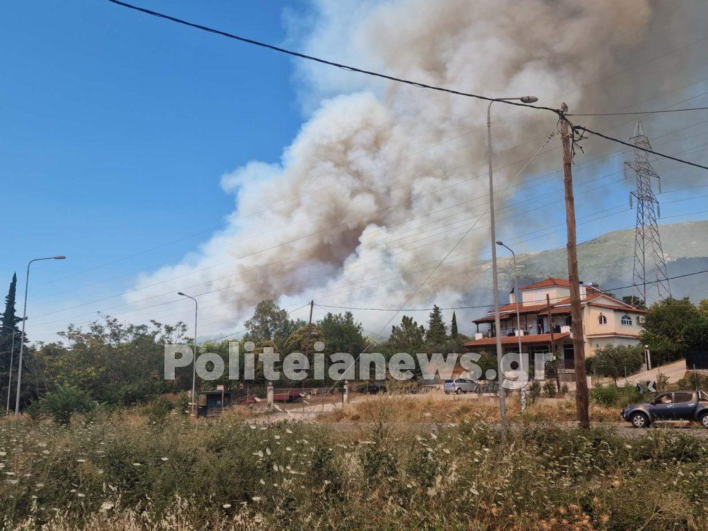 Πάτρα: "Γιγαντώνεται" η φωτιά στην Καλλιθέα – Μήνυμα από το 112 για εκκένωση της Πλατανόβρυσης και της Αγίας Παρασκευής (νέες φωτό) IMG 74ed1703affd13b4d57a5ac9fd6aed0b V