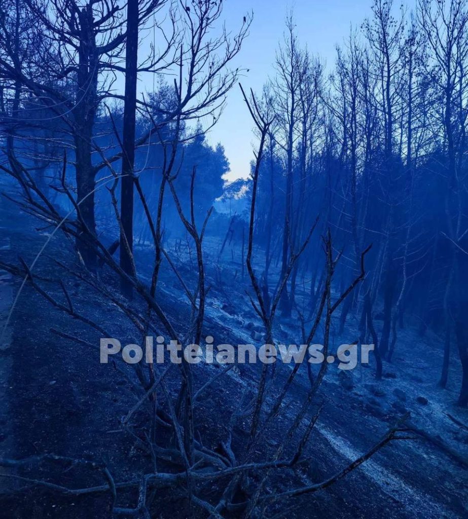 IMG b476782404cfc9e4cc1f6554e3e4d79b V e1656873742892