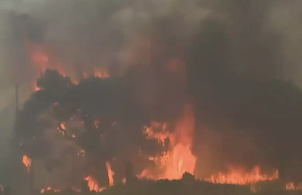 Φωτιά στα Μέγαρα: Εξαπλώνεται το μέτωπο – Εκκένωση προς το Αλεποχώρι – Λεπτό προς λεπτό όλες οι εξελίξεις fotia megara 1
