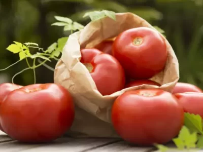 Tomatoes paperbag wood 666x399 1