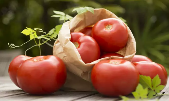 Tomatoes paperbag wood 666x399 1