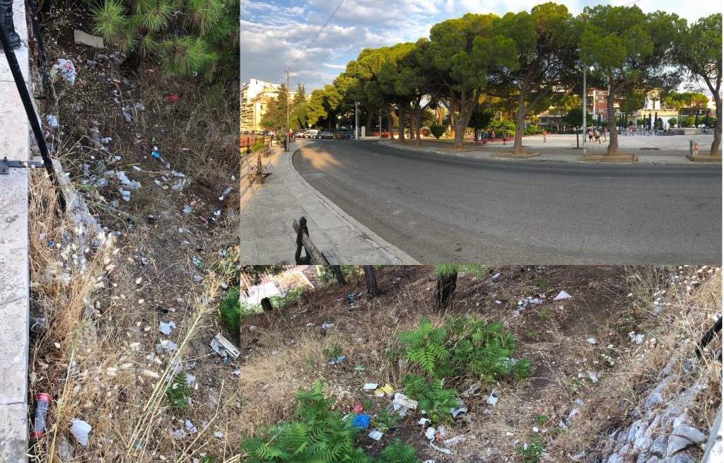 ΑΙΓΙΟ ΣΚΟΥΠΙΔΙΑ