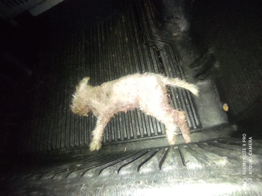 XTYPHMENO 1536x1152 1