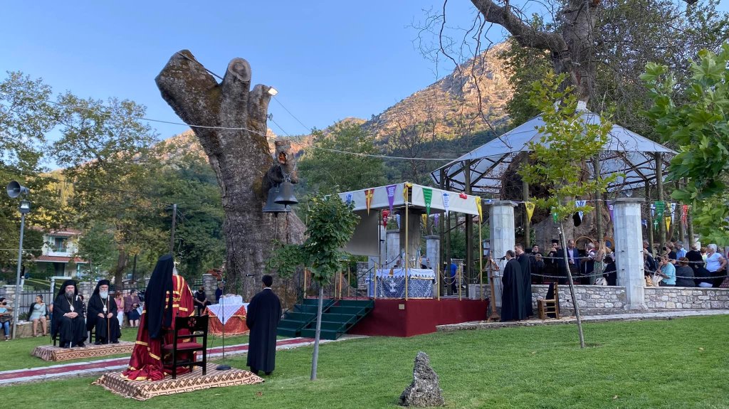 πλατανιωτισσα εσπερινός