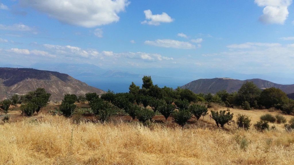 10C17743 0D67 4E33 8A86 F5C8842C7838