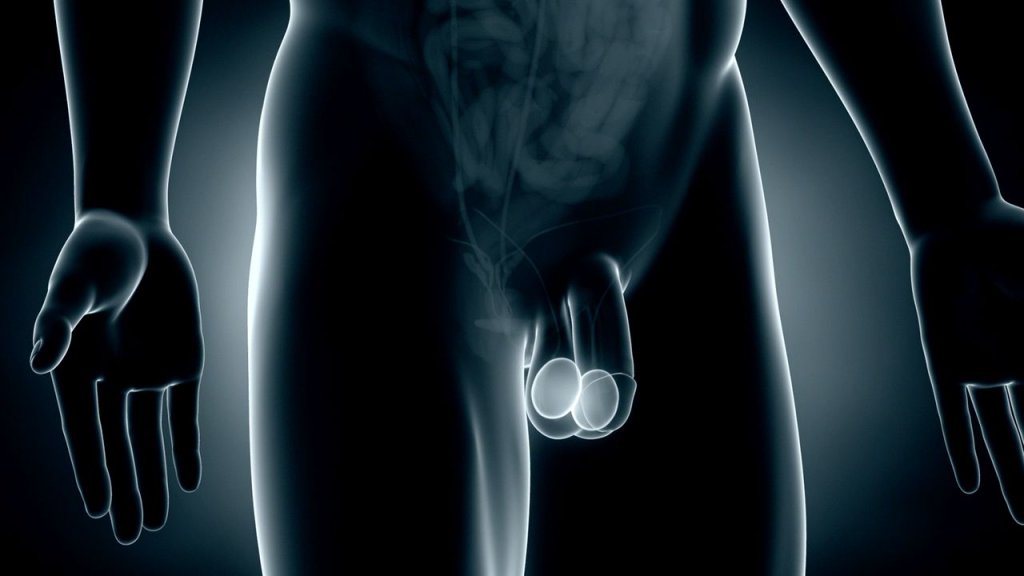 testicularcancer 1280