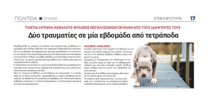 Φόβος και τρόμος τα αγριεμένα τετράποδα! Δύο τραυματίες σε μία εβδομάδα στην Πάτρα 17 2 1 e1672294402231