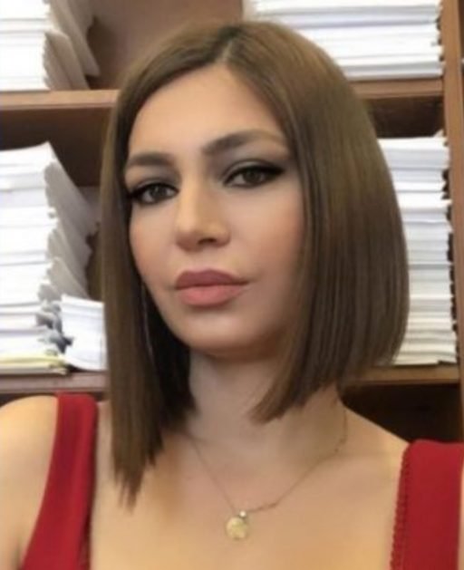 APA 1024x631 1 e1670492118673