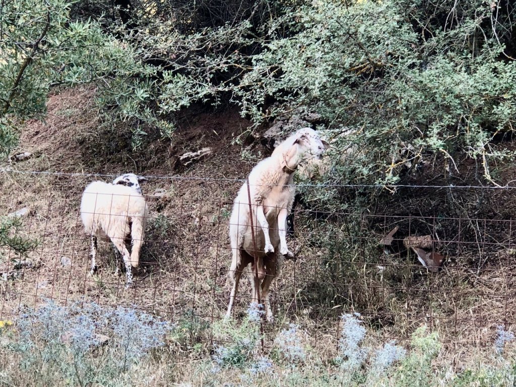ΚΕΝΤΡΙΚΗ ΔΙΚΕΣ ΜΟΥ ΟΛΕΣ 5