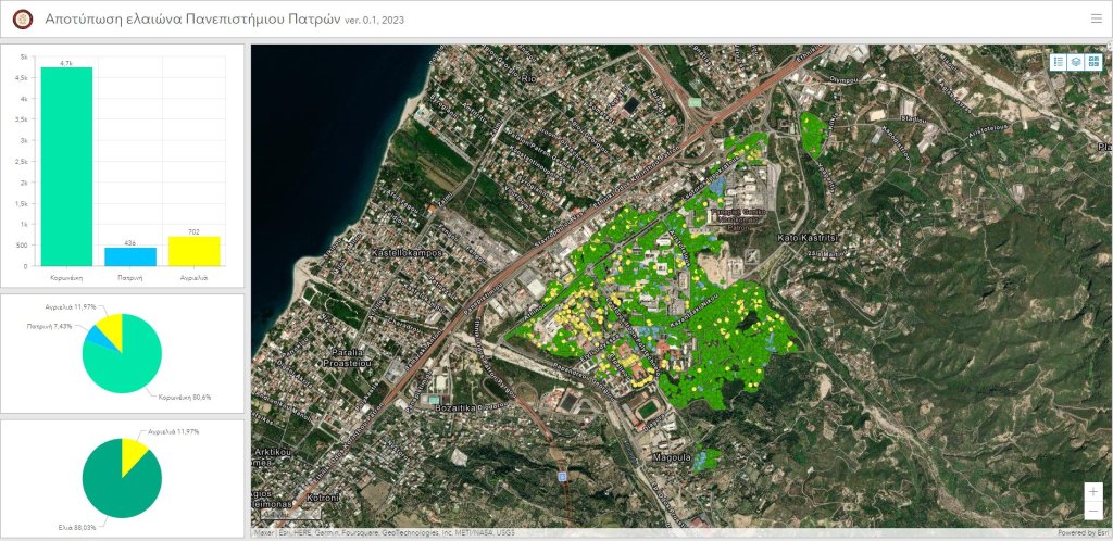 344708722 269402202147322 1195609510146629974 n