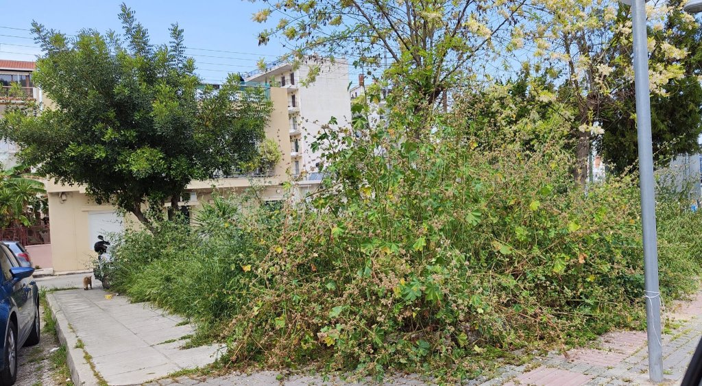 4ο ΘΕΜΑ ΠΛΑΤΕΙΑ ΕΠΑΛ 1