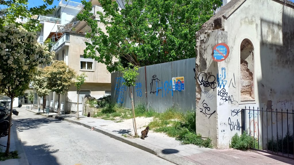 Οδός Βαλτετσίου Λαμαρίνα Γάτες small