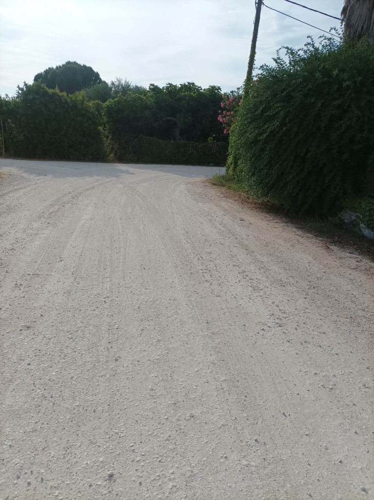 1ο ΔΕΜΕΝΙΚΑ ΔΡΟΜΟΣ 8 1