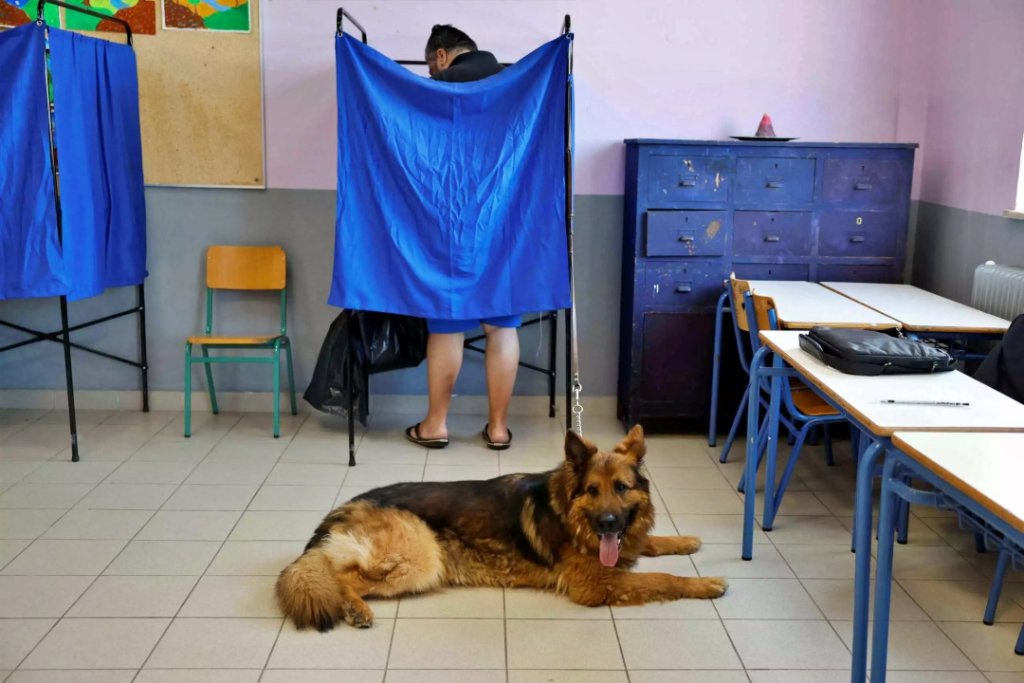 ekloges skyli