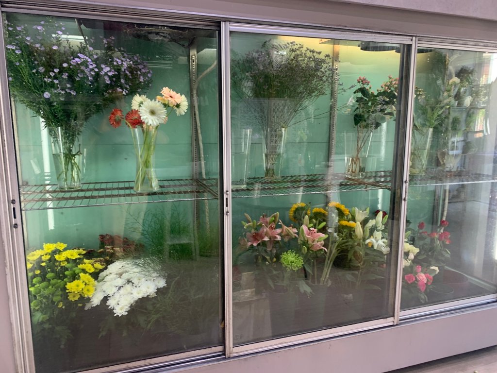 2 ΑΝΘΟΠΩΛΕΙΑ 2 1