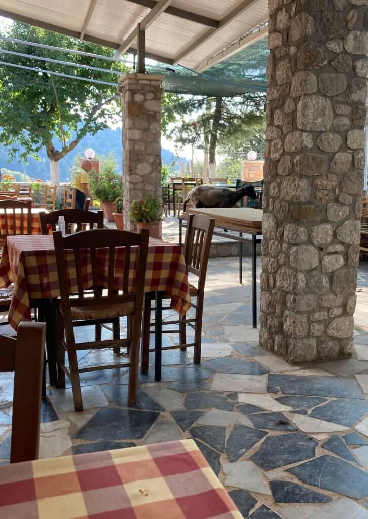 2 ΤΑΒΕΡΝΑ ΦΩΤΟ ΑΡΧΕΙΟΥ 1