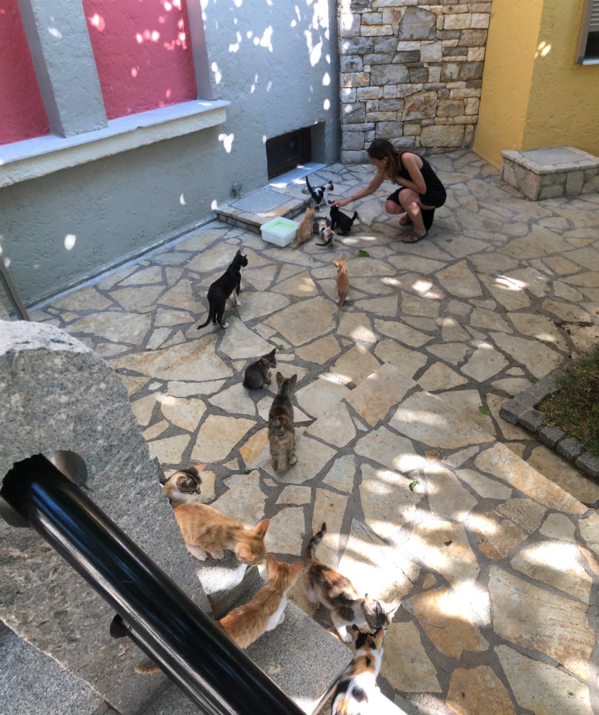 Εκδρομή στους… «Παπαροκάδες» | Δείτε ΦΩΤΟ από το Μοναστήρι που κατακλύζουν εκατοντάδες νέοι! 6 3