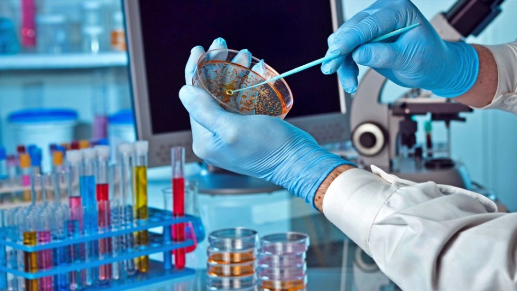 lab maketa