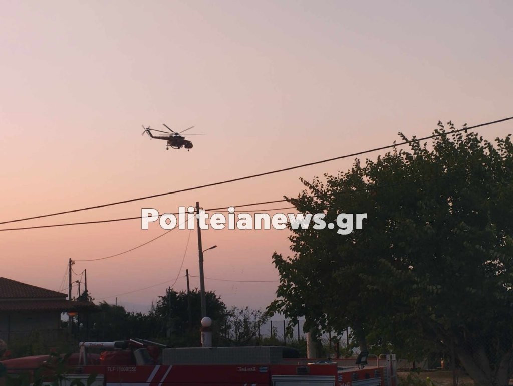 Πάτρα: Οριοθετήθηκε η φωτιά στο Βελβίτσι - Η ανακοίνωση της πυροσβεστικής (pics, vid) photo 2023 08 23 19 51 08 1