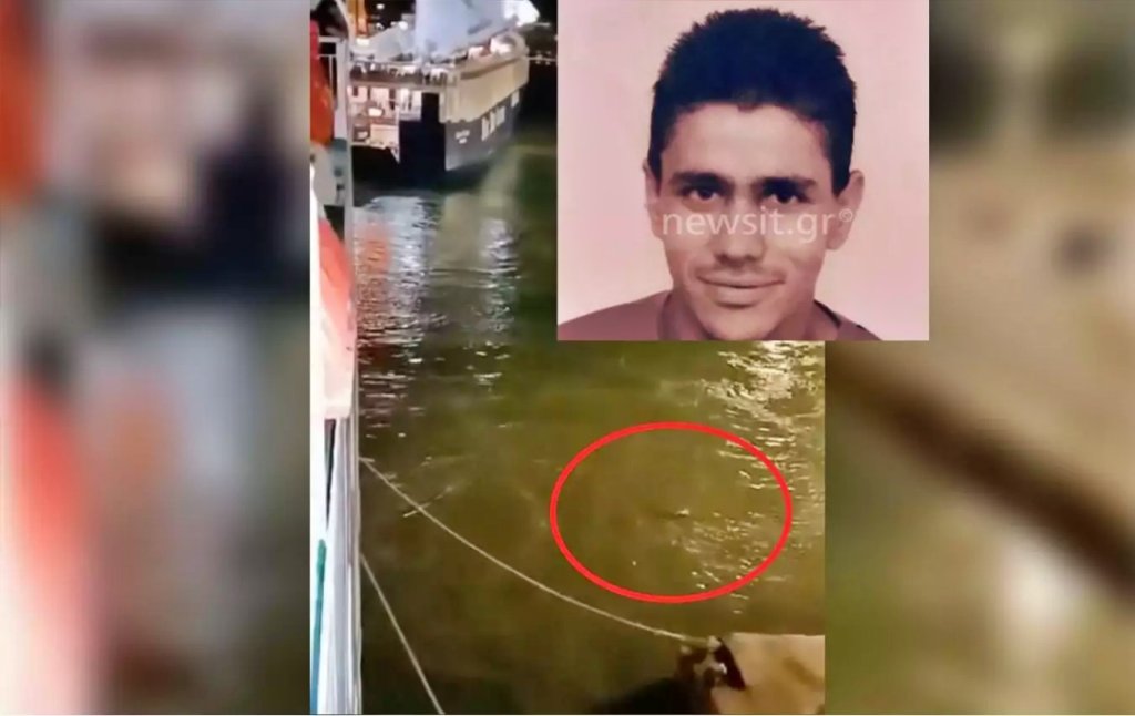 bluehorizon newvideo