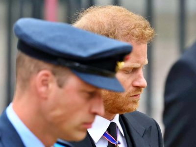 williamHarry