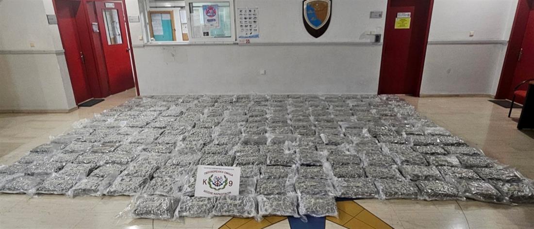 1100_84649426-d06d-45ab-82b5-77b89f2539e8