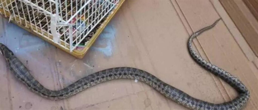 1100_f8c0f023-6b70-47f8-8f4e-47bdab12d1a8