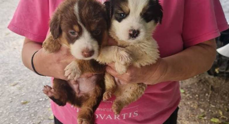 aaaaaaaaaaaaaaaaaaaaaaaa