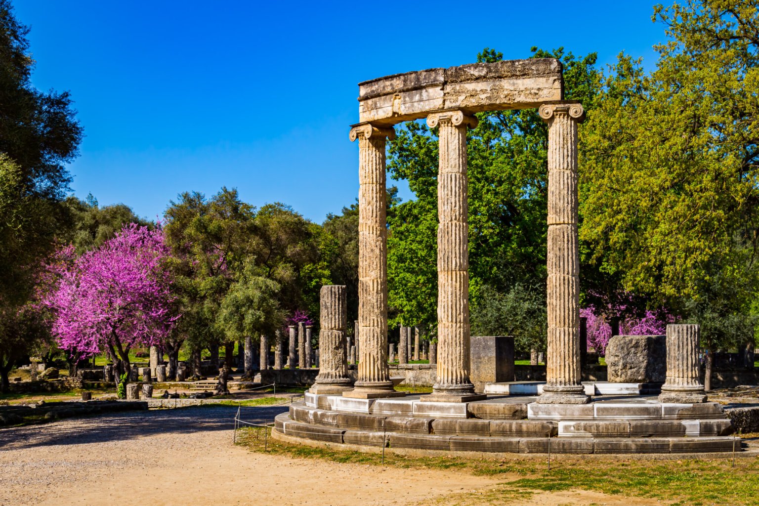 The,Ruins,Of,Ancient,Olympia,With,Blooming,Cercis,Tree.,Greece.