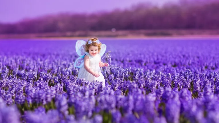 girl_butterfly_puprle_184541498-768x432