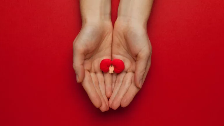 kidneys_hands_1922026235-768x432