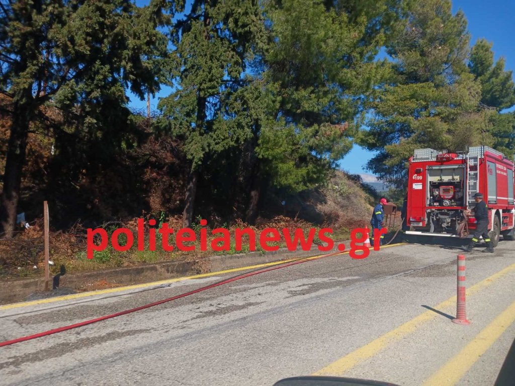 εικόνα_Viber_2024-04-09_16-02-55-259
