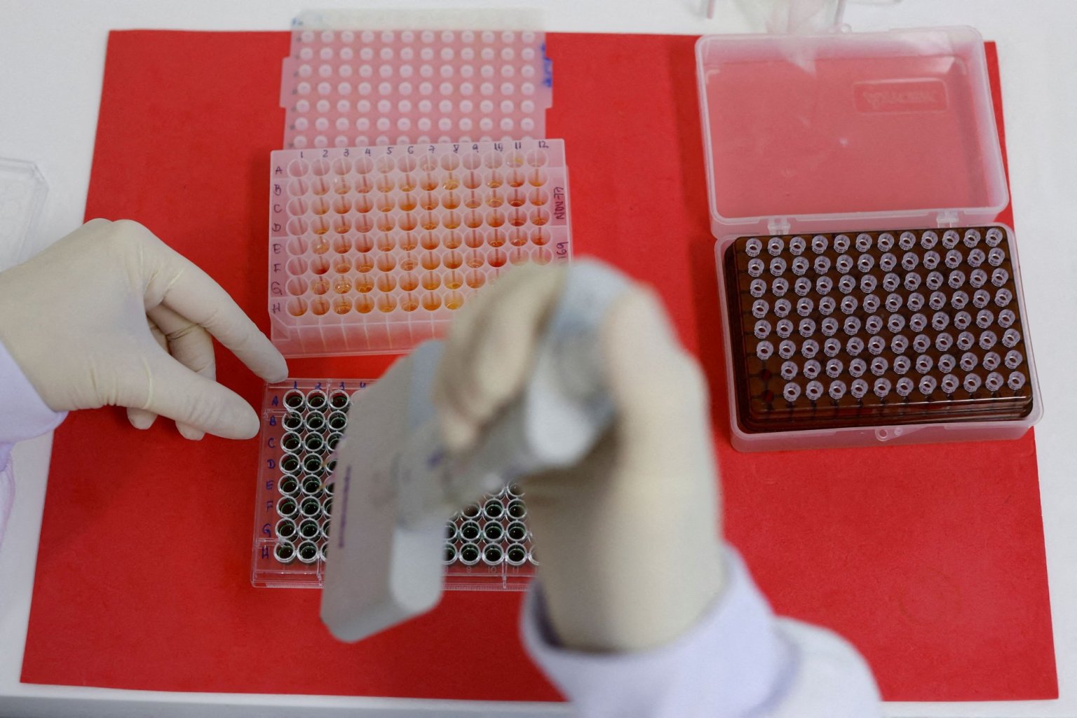 2024-05-09T213725Z_1770355597_RC2RL0AQ9YA1_RTRMADP_5_HEALTH-BIRDFLU-SURVEILLANCE