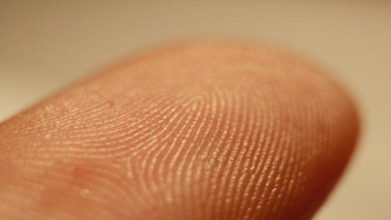 Fingerprint_detail_on_male_finger_in_Trebic_Trebic_District-768x432