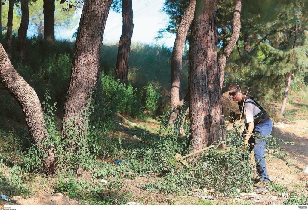 akatharista-oikopeda-45