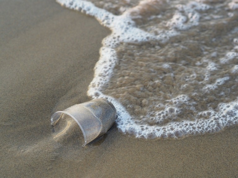 water-cup-sea-768x576