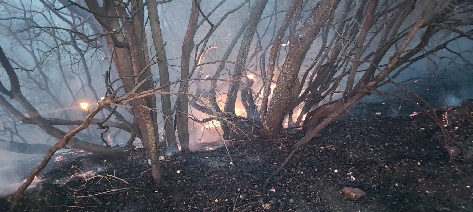 448949252_7946016988793492_2375342016299006950_n