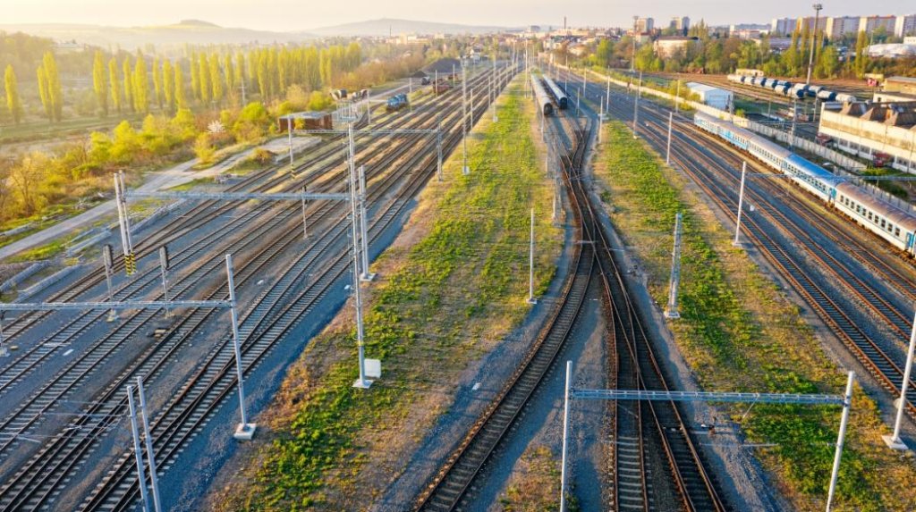 BusinessDaily-Train-trena-metafores