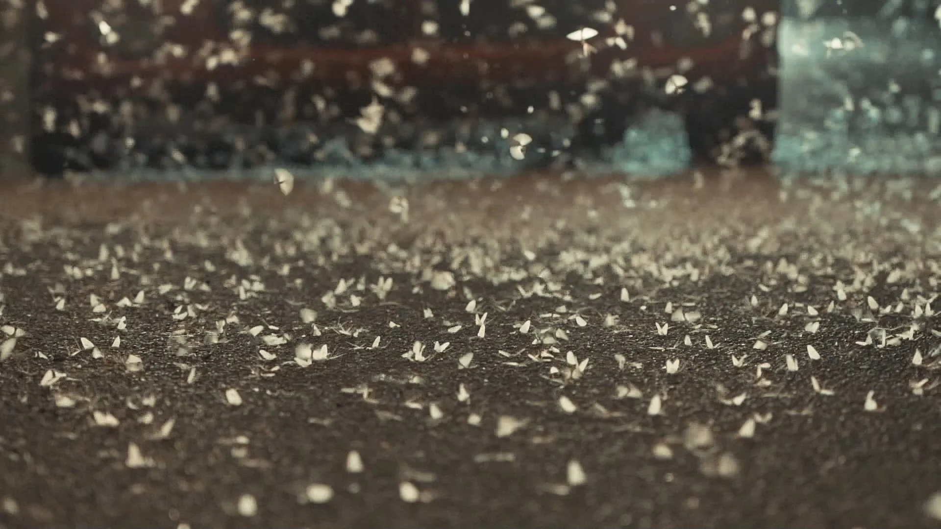 Messenger_creation_f01b6c62-76d1-4c12-8c26-1518fc0df511