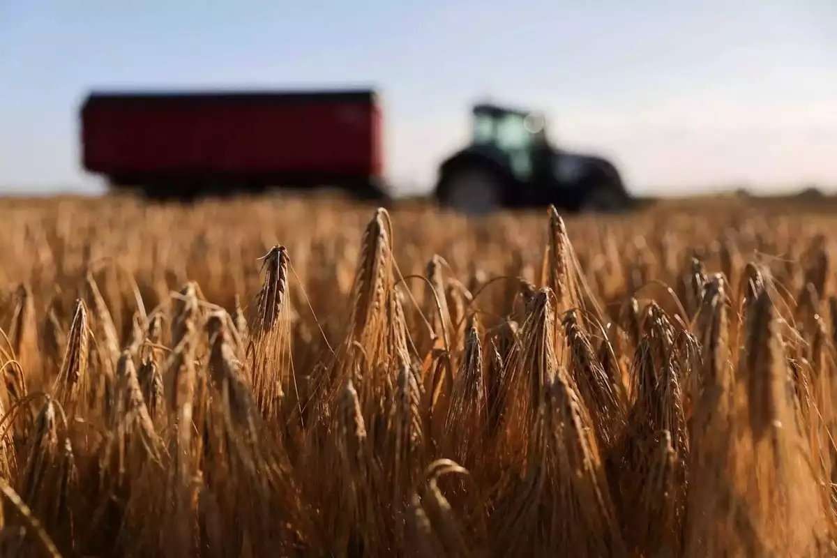 farmers_sitari_trakter_reuters-s