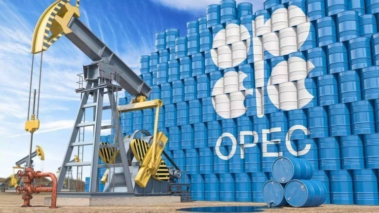 oil31