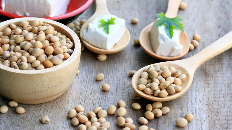 soy_beans_295309760-768x432