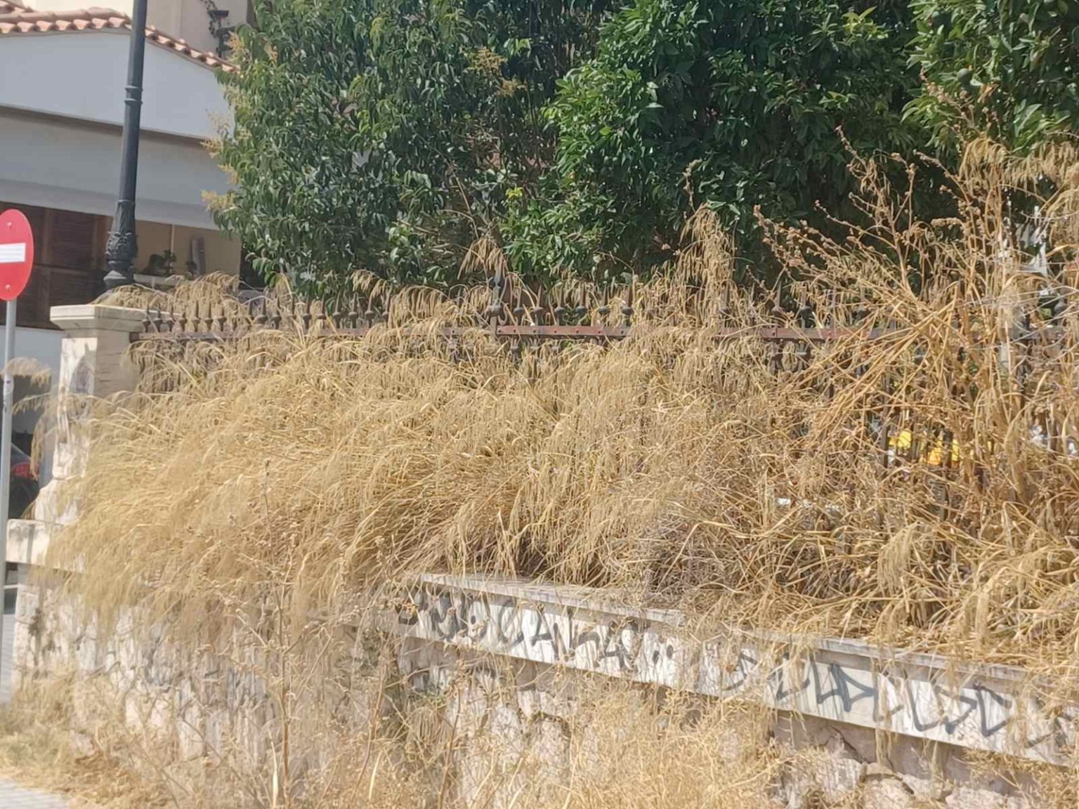 εικόνα_Viber_2024-07-10_16-19-02-255